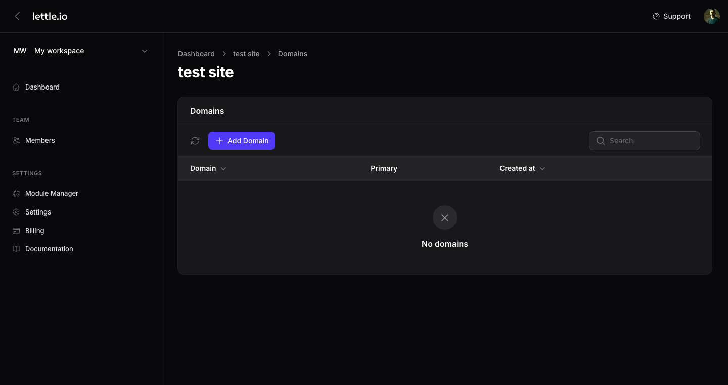 Domains modal with the Add domain field and the Primary toggle