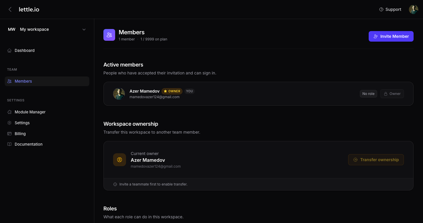 Members page with the Invite Member button
